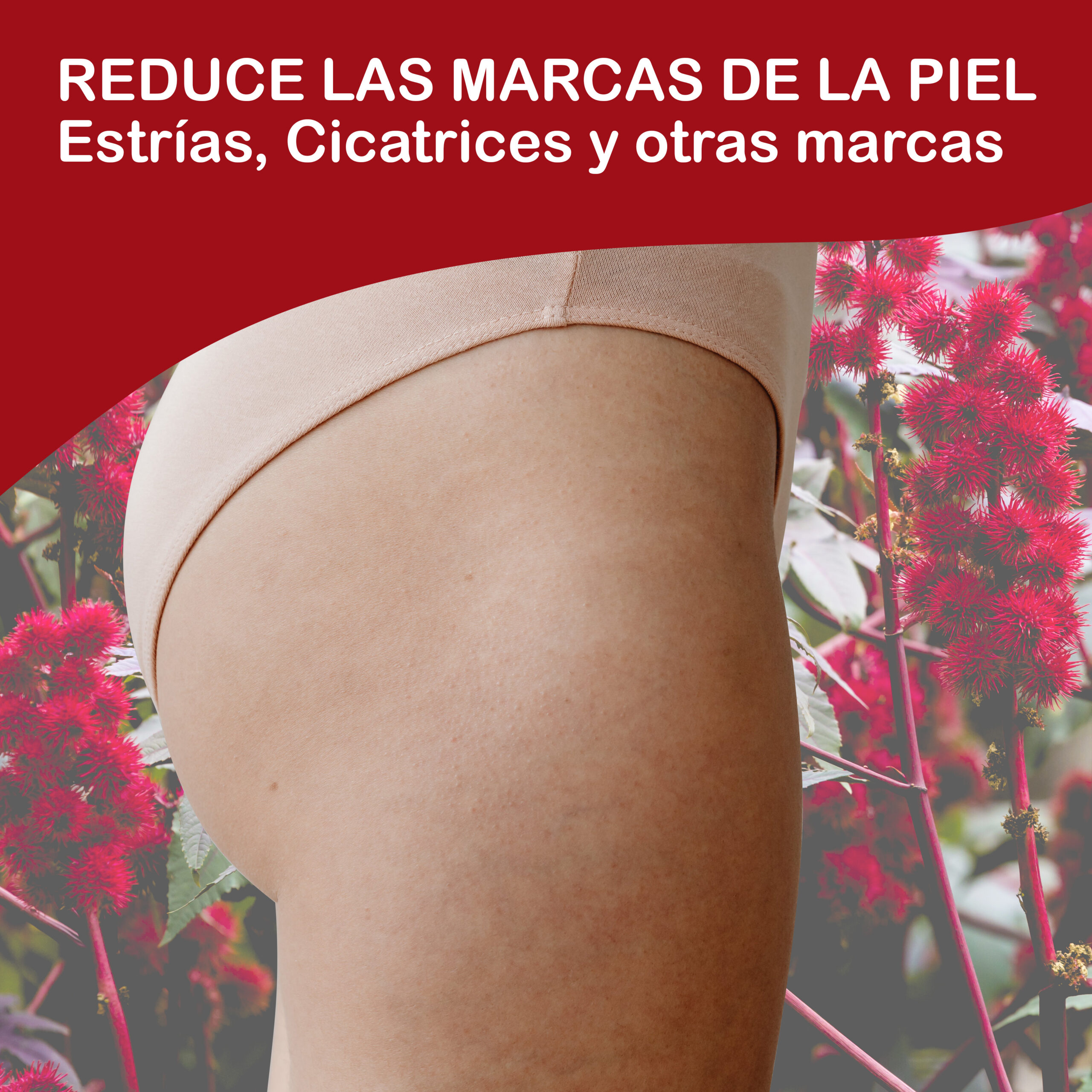 Aceite de ricino puro prensado en frío | Aceite para pestañas, pelo y piel - Imagen 5