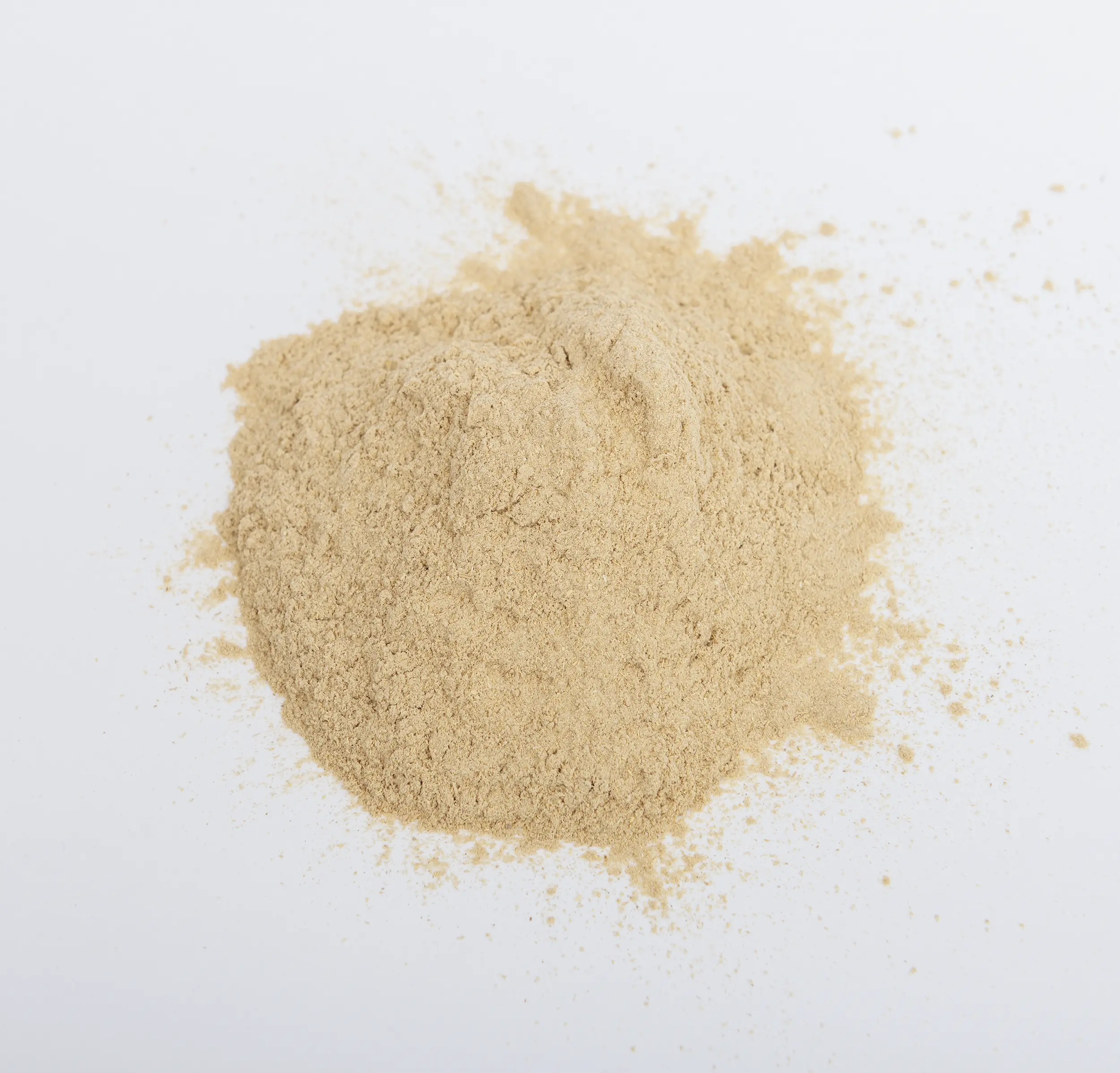 ASHWAGANDHA ORGÁNICA